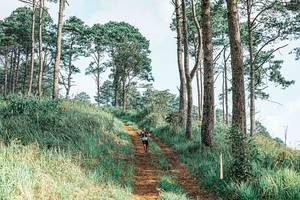 BIB: 
                            <button type="button" onclick="openModal(25652986)" class="btn btn-primary btn-sm float-right btn-popup" data-toggle="modal" data-target=".modal-high-quality">
                        <i class="fas fa-shopping-cart"></i> Add to Cart
                    </button>
                                            <button type="button" onclick="isThisMe(25652986, true)" class="btn btn-success btn-sm float-right btn-popup btn-isme hidden" data-toggle="tooltip" data-placement="bottom" title="นี่คือรูปของคุณใช่ไหม คลิกที่นี่เพื่อเอาเข้าอัลบั้ม">
                        <i class="fas fa-plus"></i> Add to album
                    </button>
                    <button type="button" onclick="isThisMe(25652986, false)" class="btn btn-warning btn-sm float-right btn-popup btn-isnotme hidden">
                        <i class="fas fa-ban"></i> Remove from album
                    </button>